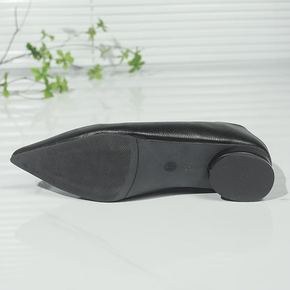 Elegant pointed-toe comfort flats